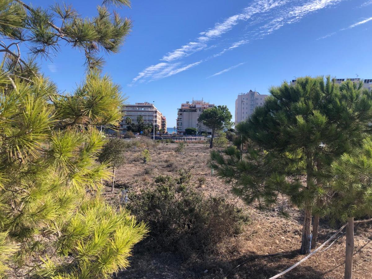 Amplio Apartamento Playa Ла-Мата Экстерьер фото